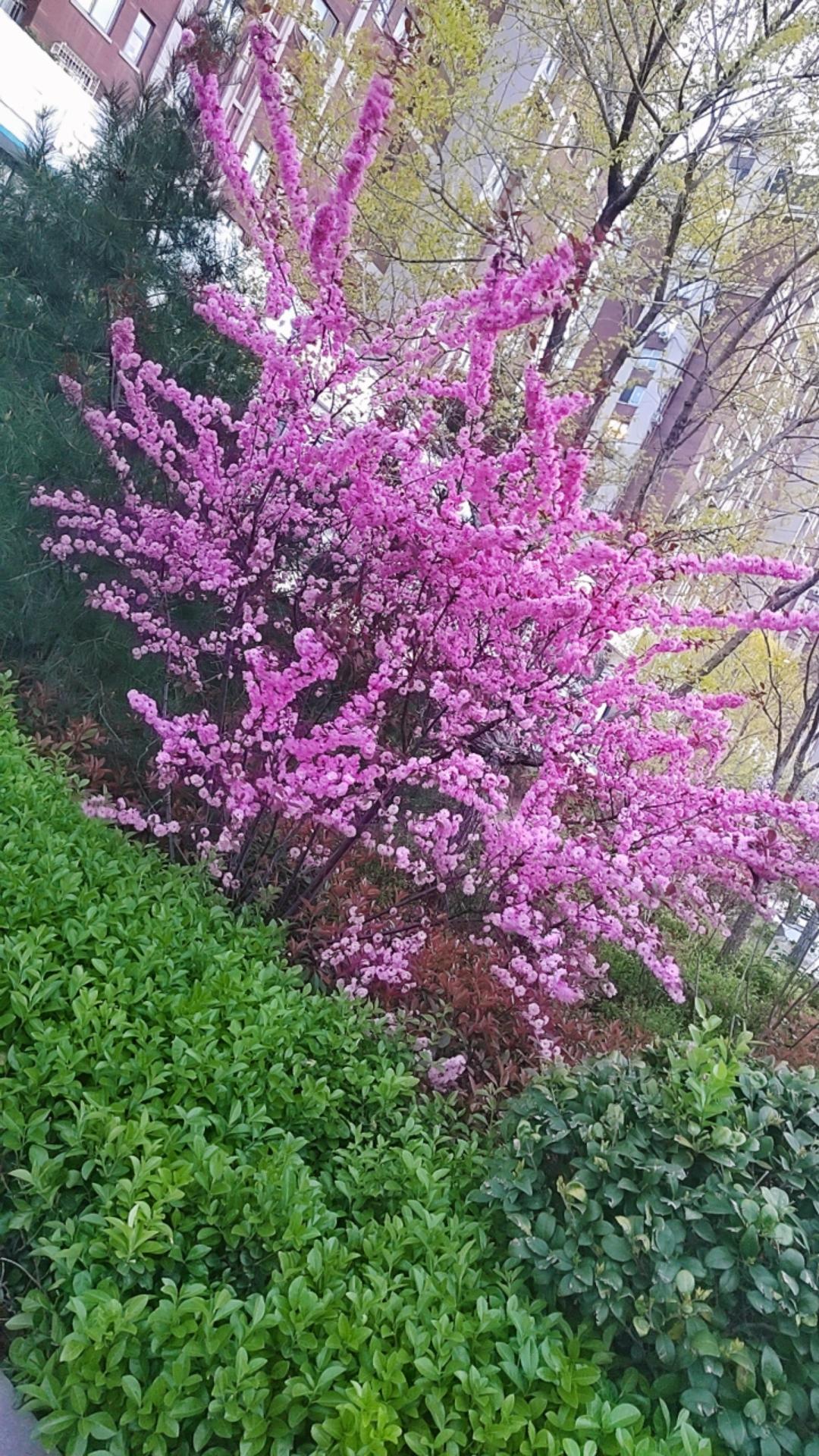 很多人都好奇，二十四节气里的春分，究竟对应哪一个生肖？其实答案藏在老祖宗的地支文