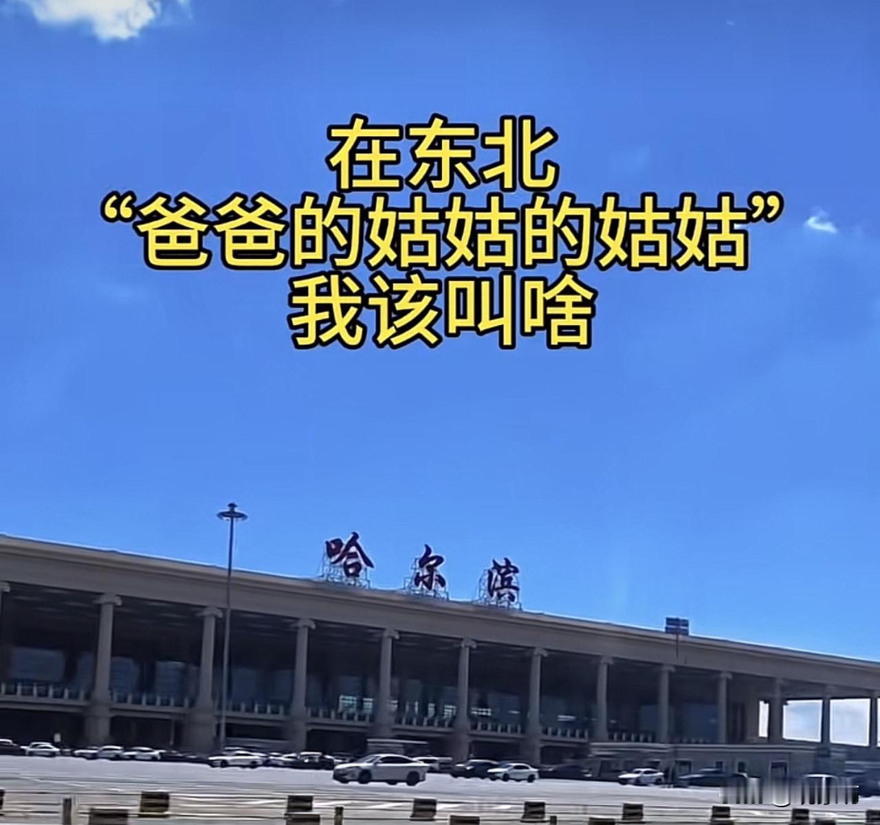 写这篇，就一个核心：咱们今天不聊旅游，单挑这个折磨过几亿人的亲属称呼题。

爸爸