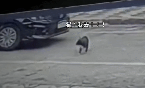 这大难不死的福也来的太快了 ​​​