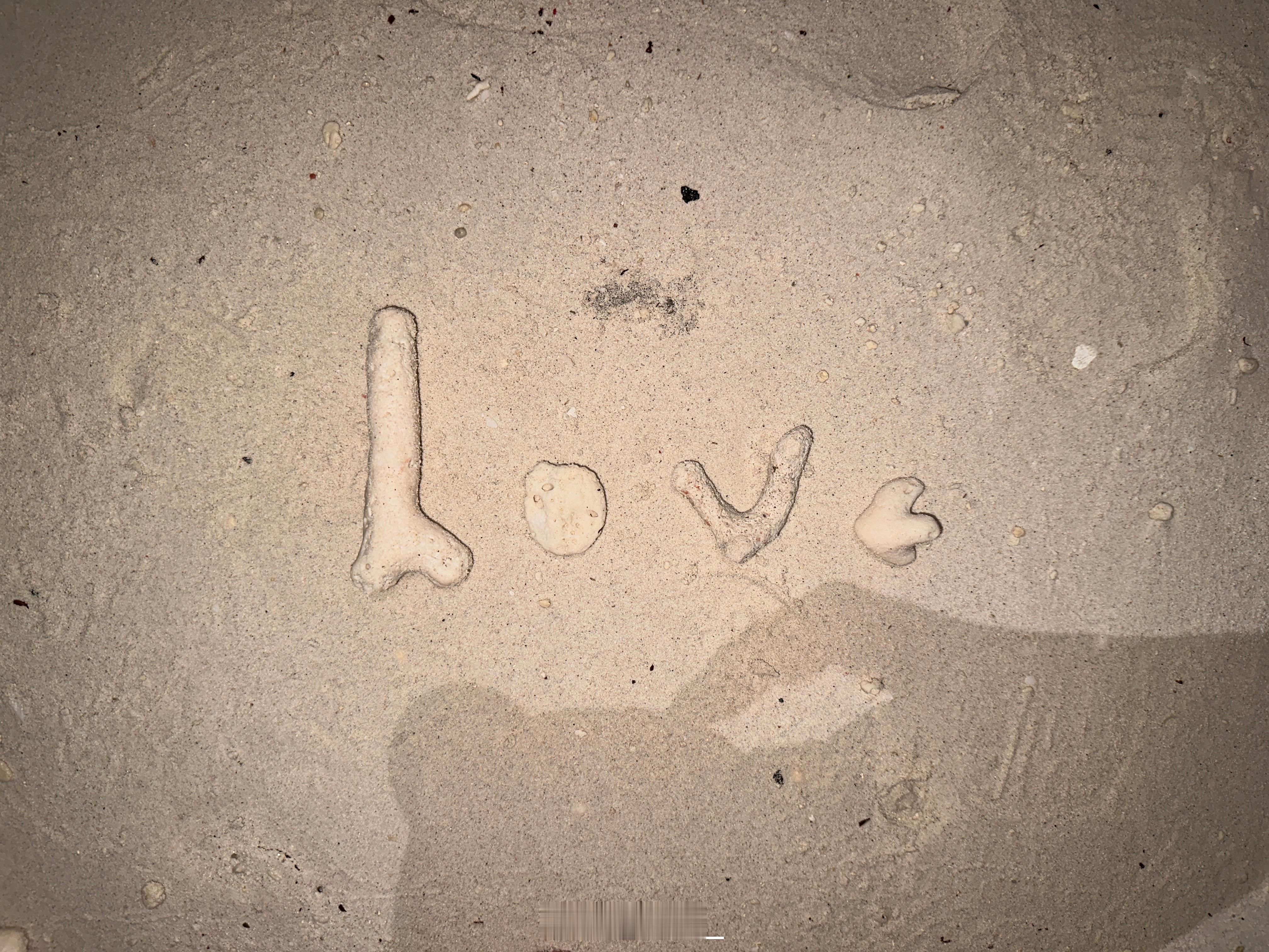 出去工作和出去玩还是不一样的整个人被抽空了…亚庇，此生再也不会去[泪]  ​​​