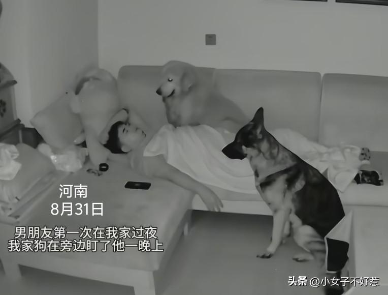 “笑不活了！”河南，男子第一次到女友家做客，女友让他留下过夜，男子先自觉睡沙发，