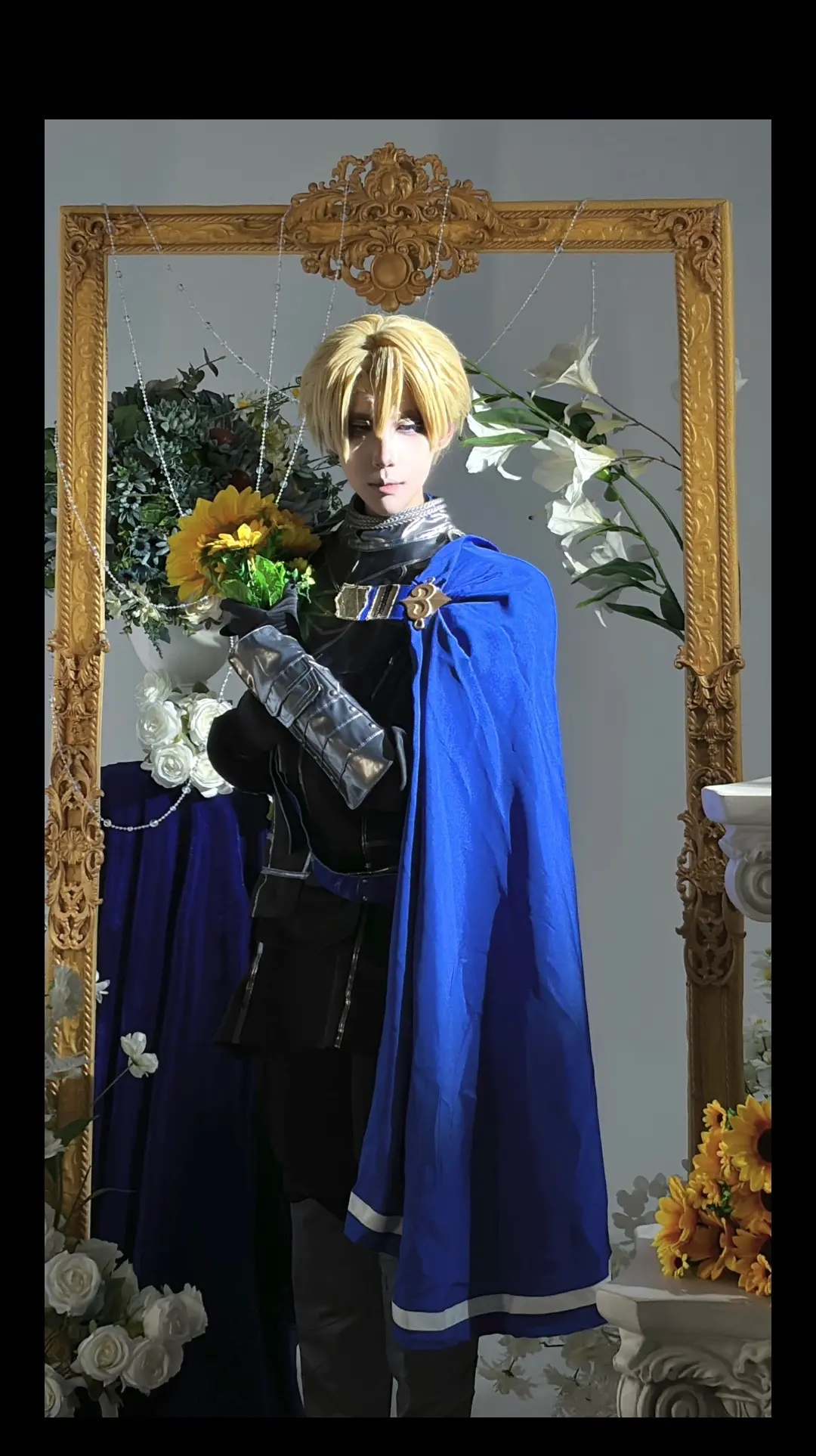 法嘉斯的青狮。