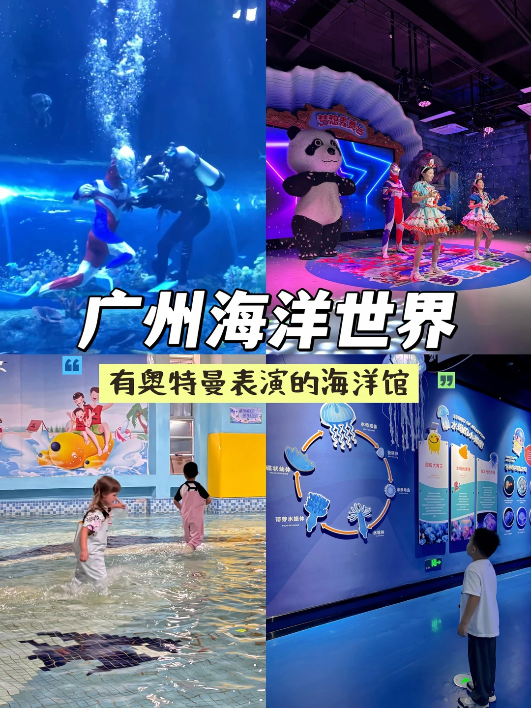 广州最适合遛娃的海洋馆！附游玩攻略！