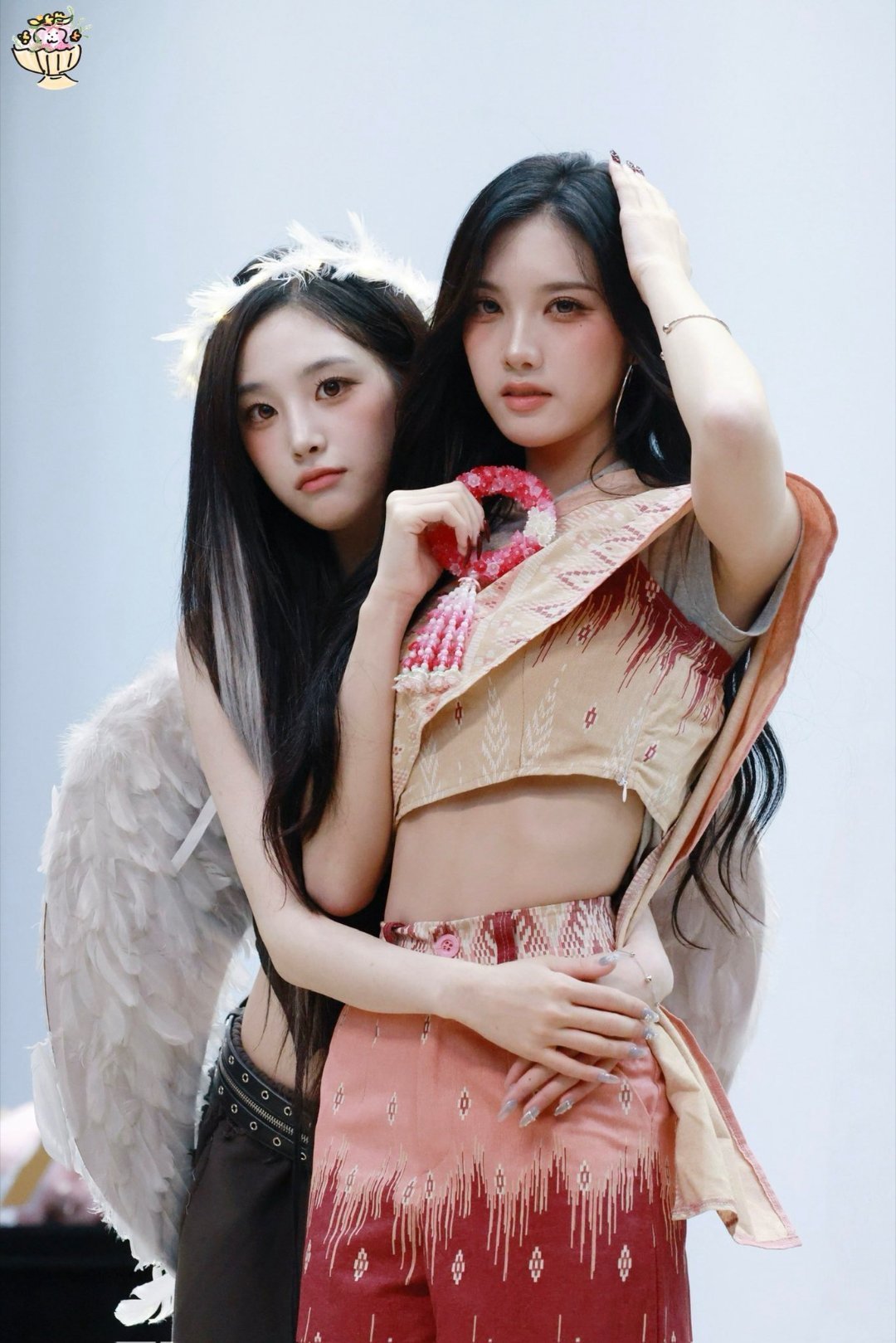 池泰百合 