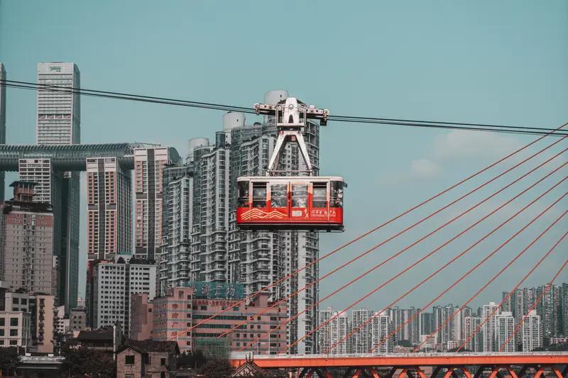 假如世界灾难来临，我肯定先慌一会儿，但马上就得冷静。得遵循预防为主、自救互援这些