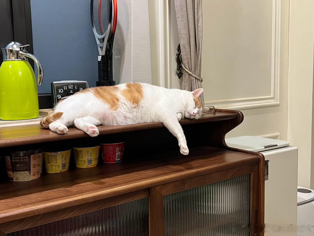 好可怜，俺猴猴累劈了[苦涩]要怪就怪小妹吧，他昨天连夜尿沙发，害我们小猴洗了一天