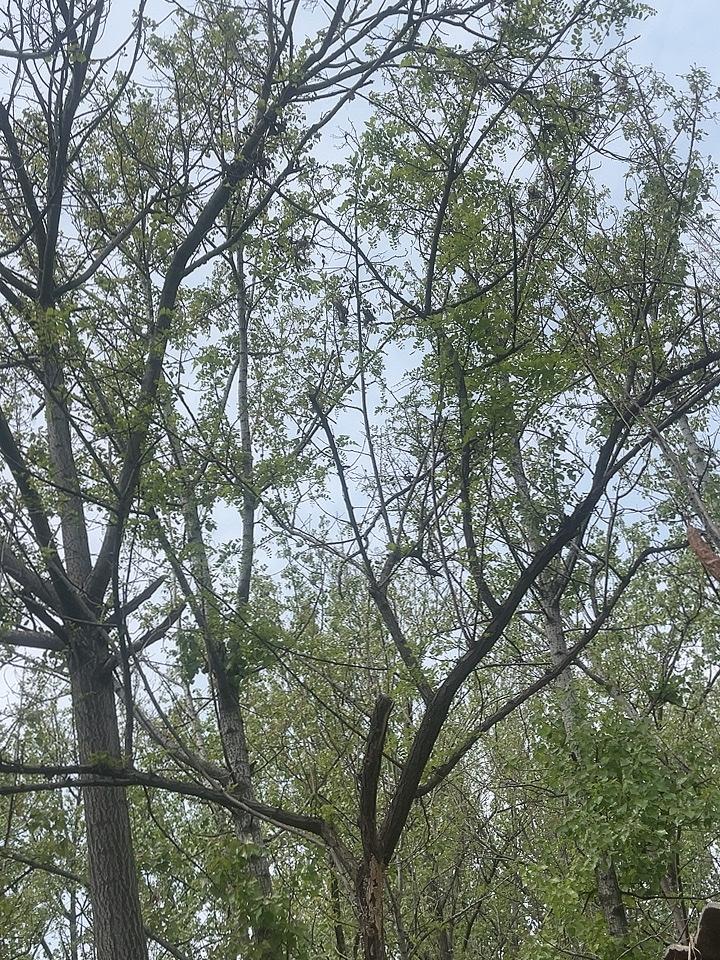 奉劝大家不要过度饮酒了！
我哥这个人今年65岁，他喝酒已经有四十多年的时间了，有