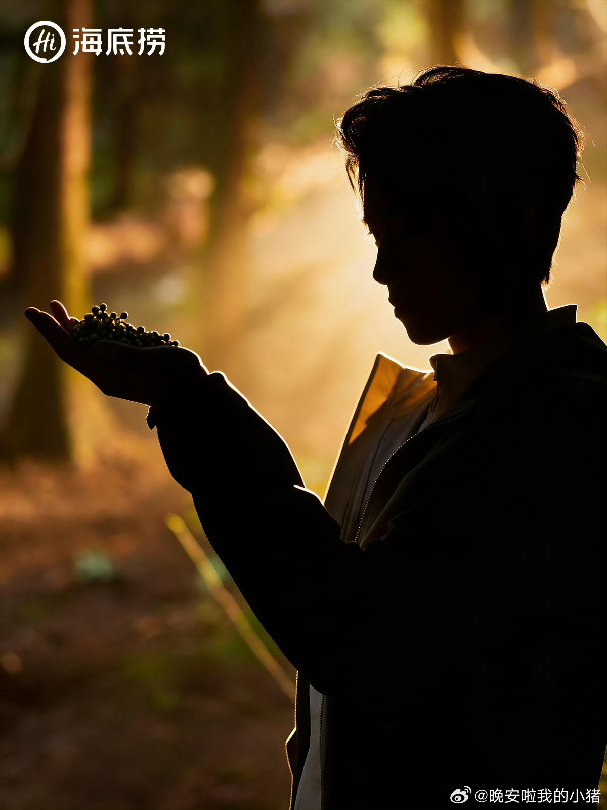 王星越海底捞商务预热，是寻味代言人title