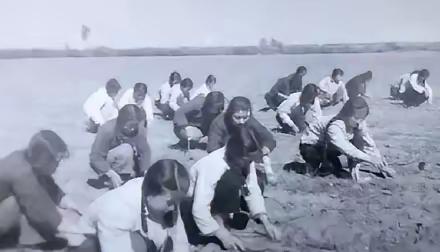 1975年，湖北神农架几个妇女正刨土豆，同伴李守芝钻林子解手，迎面撞上一头野豹子