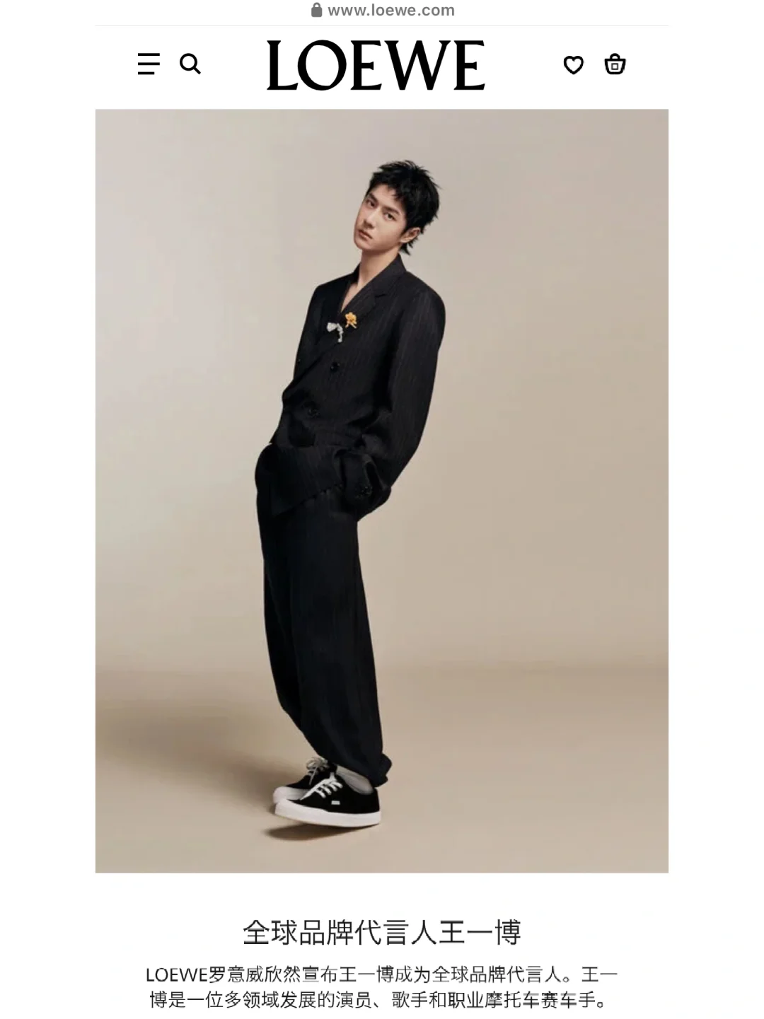 目前LOEWE官網是這樣的🤩🤩🤩
