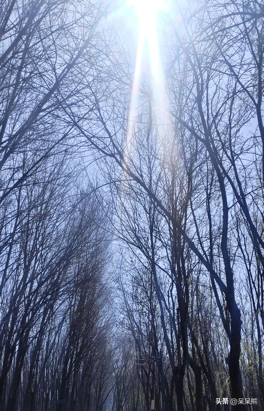 从来没想过烟还能有假的，直到我刷手机看到3.15假烟……然后我专门去查了查！
