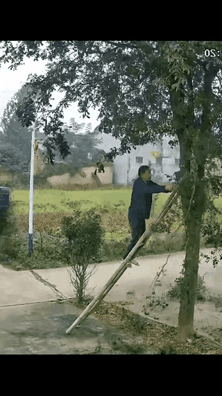 这下子摔得不轻！
    多大岁数了，还干这样的活？关键是，过了这么大岁数，不知