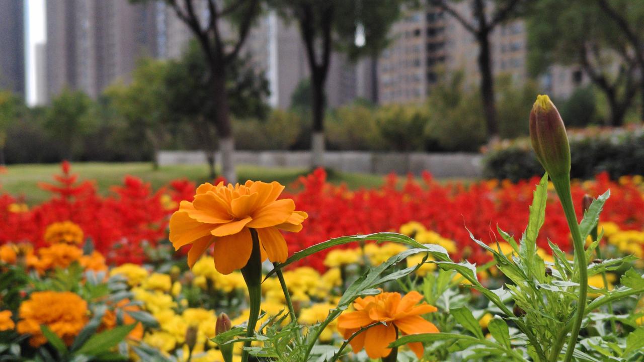 参加，就像打开了一个充满惊喜的盲盒。
创作过程中能挖掘很多有价值的话题。比如情感