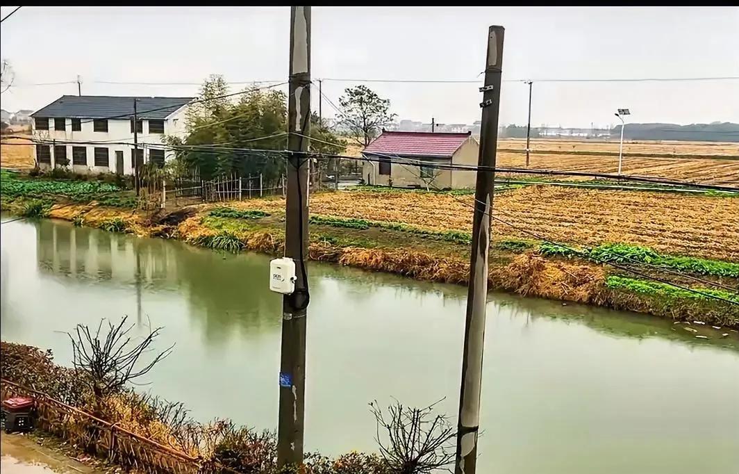 有人告诉我，这就是大上海的农村，我不敢相信。比起魔都的喧嚣和繁华，这里尽是人间烟
