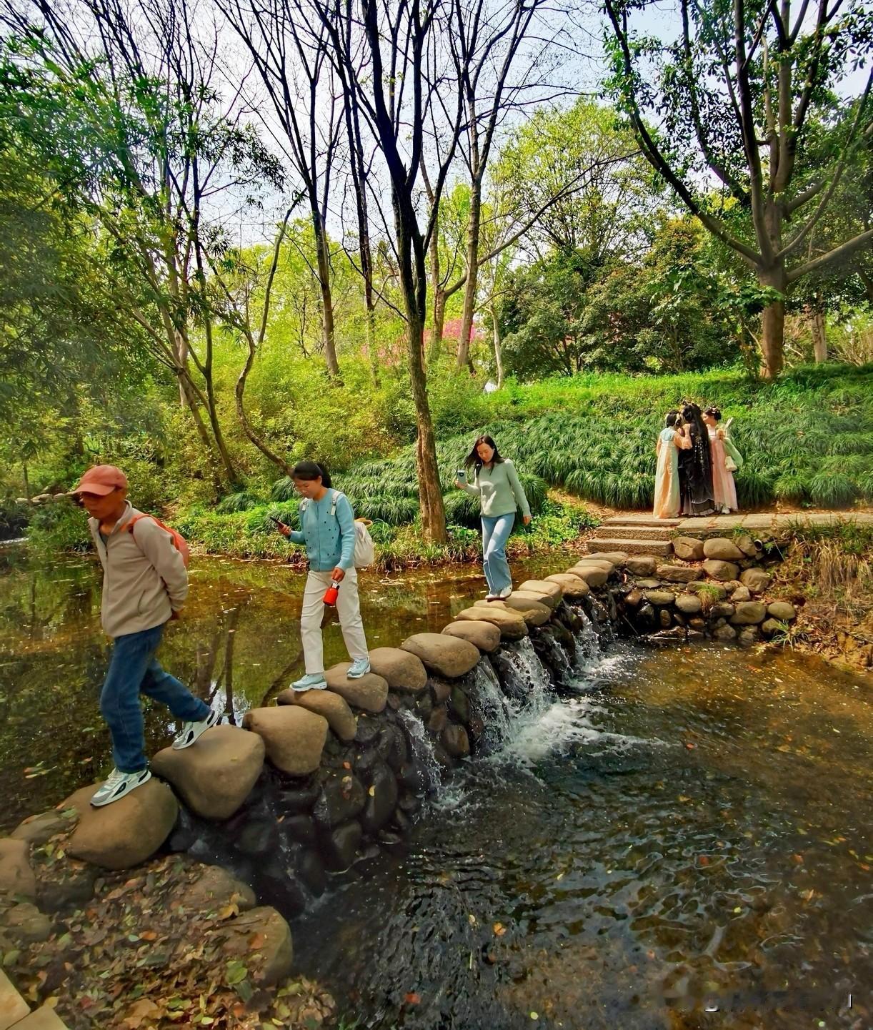 杭州西湖杨公堤西侧茅家埠村，“茅乡水情”景区自然野趣，拥有典型的湿地景观，水面开