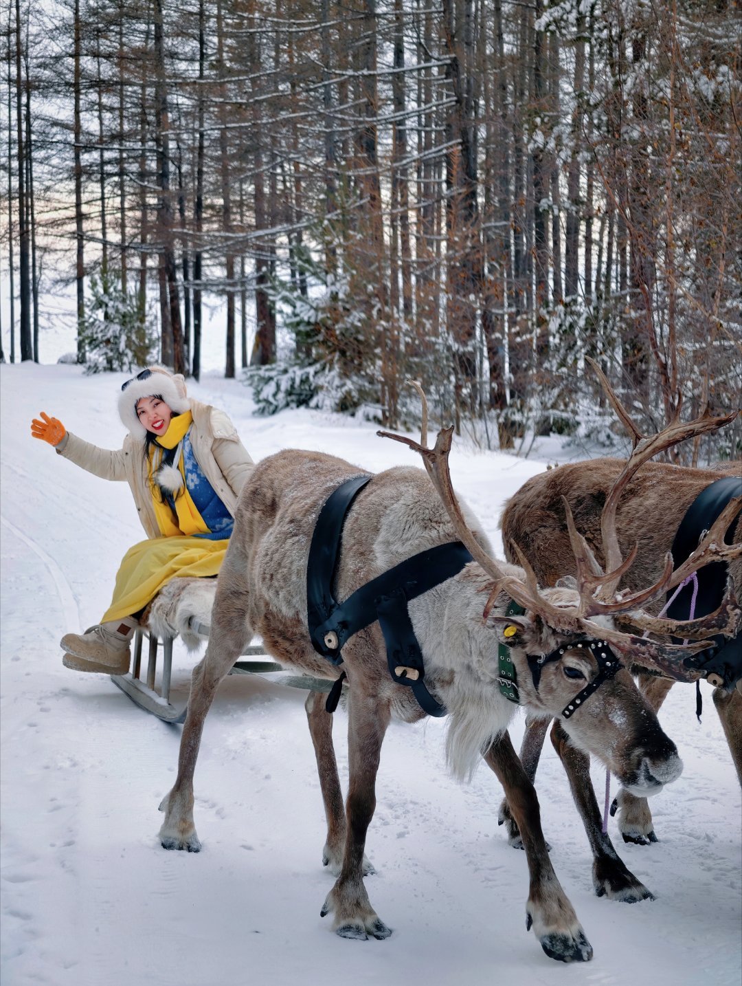 贝加尔湖4天3晚｜乌兰乌德:蓝冰+温泉+驯鹿+俄餐全含从三亚的椰林海风，穿越到西
