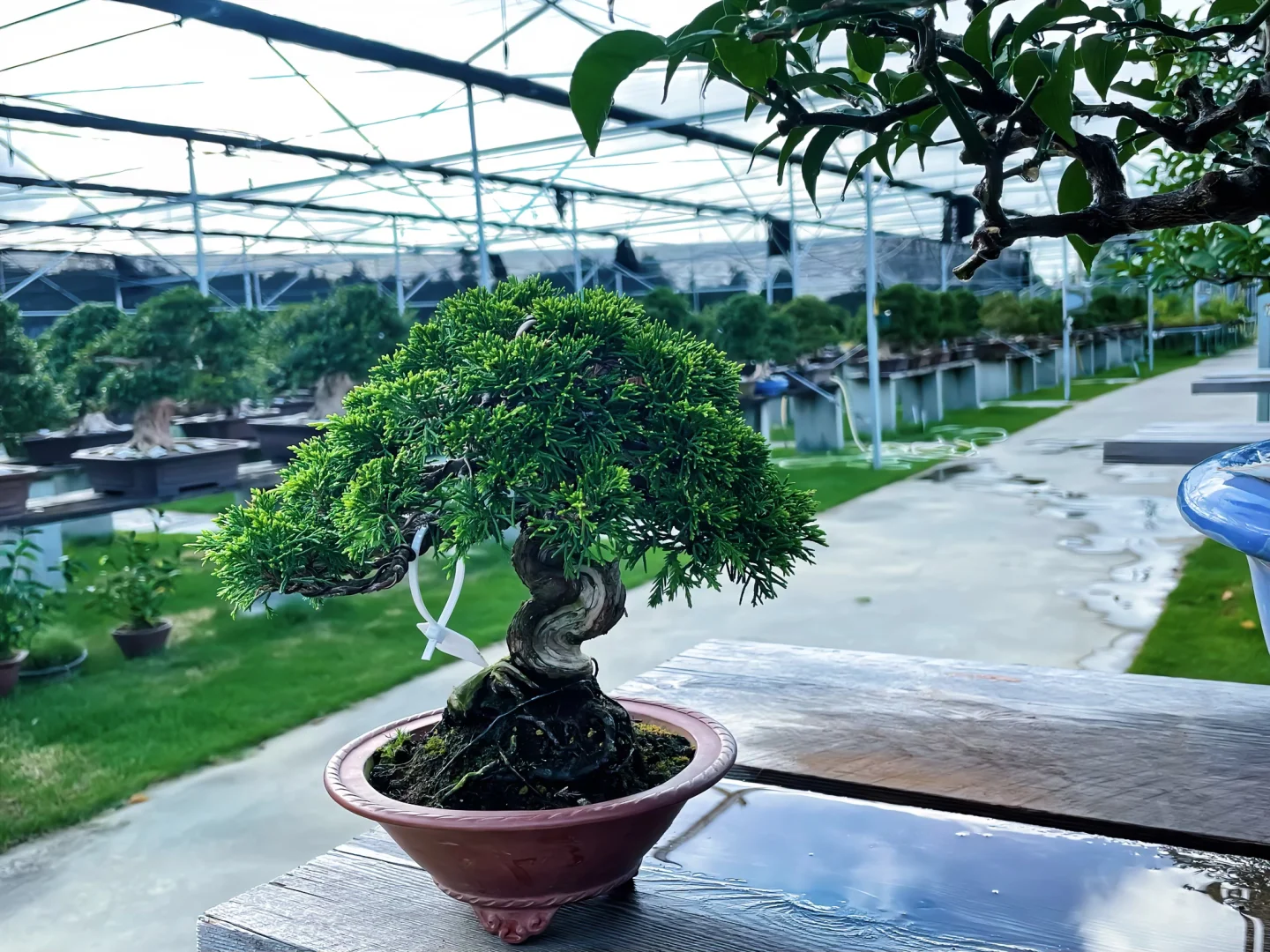 算命先生说我五行缺赞