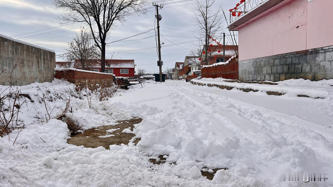 众盼的雪下大了，封村啦