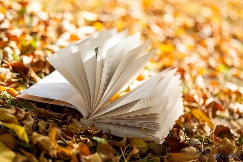 读书的最大意义，我觉得是让人成为自己。就像《如何阅读一本书》里说的，读书不是被动