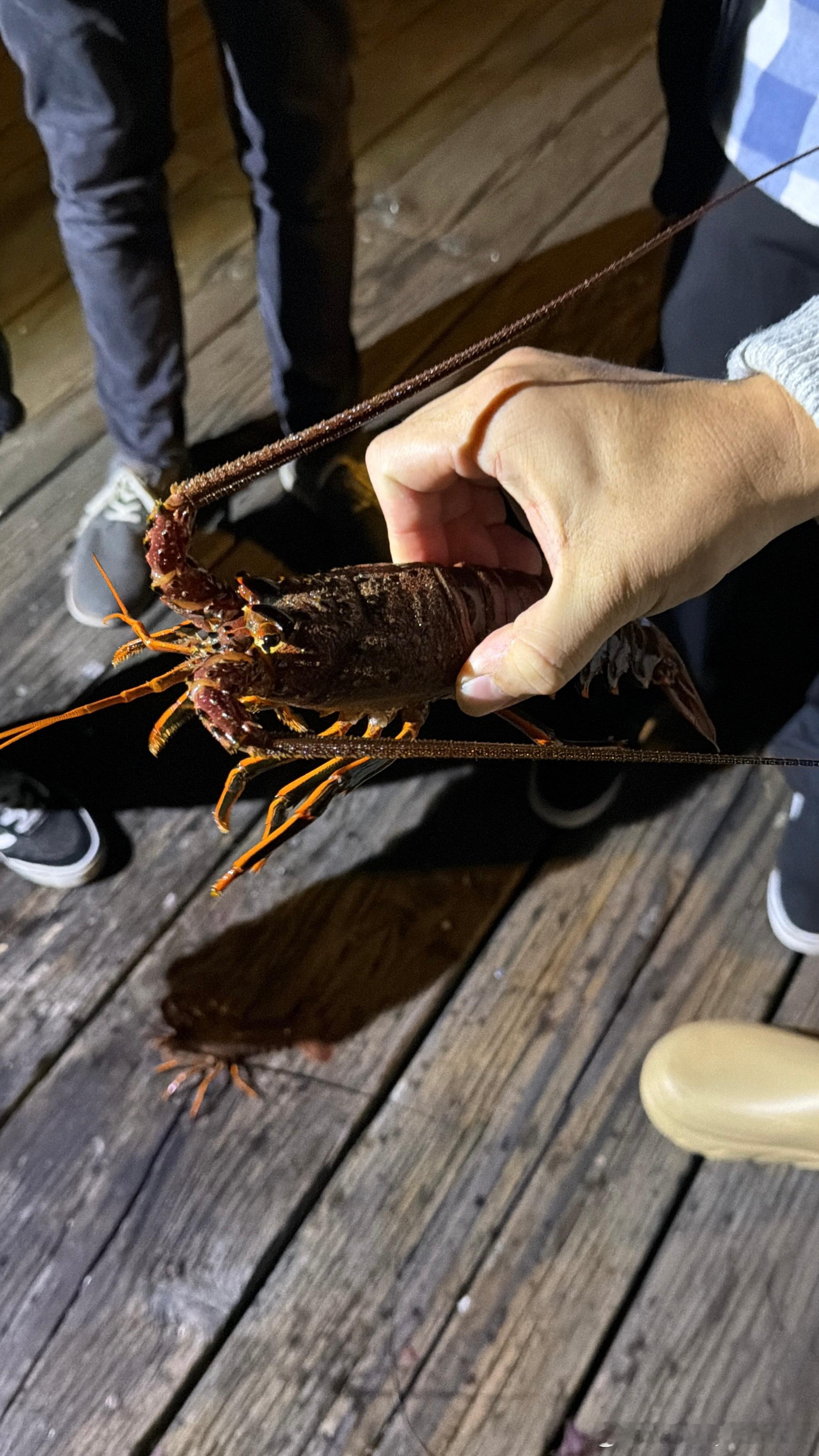 才抓了三十只实在是拿不了了 ​​​