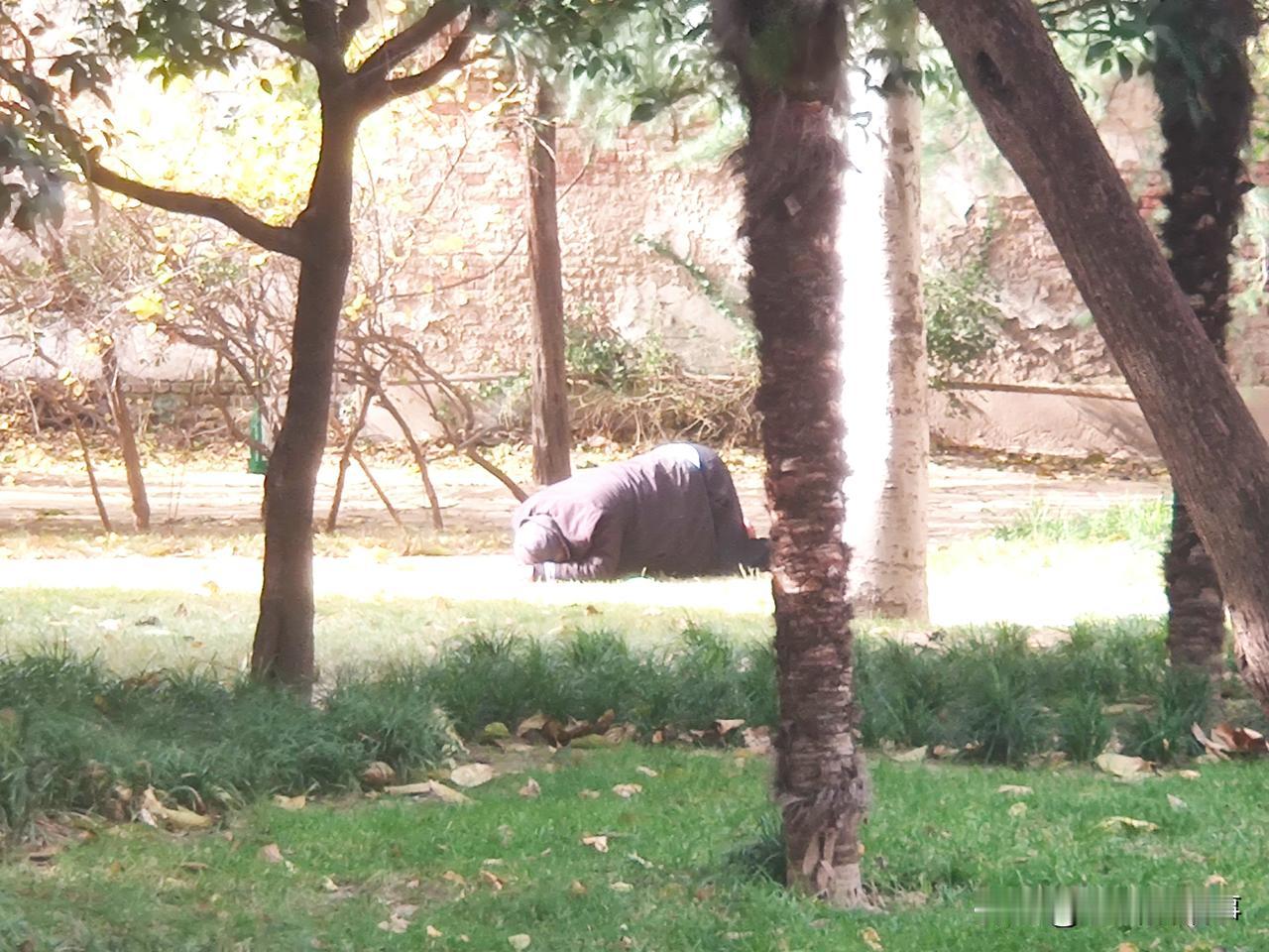 今天郑州虽然是艳阳高照，但风也大的出奇，鸡蛋粗的枯树枝都被刮断纷纷落下，天气预报