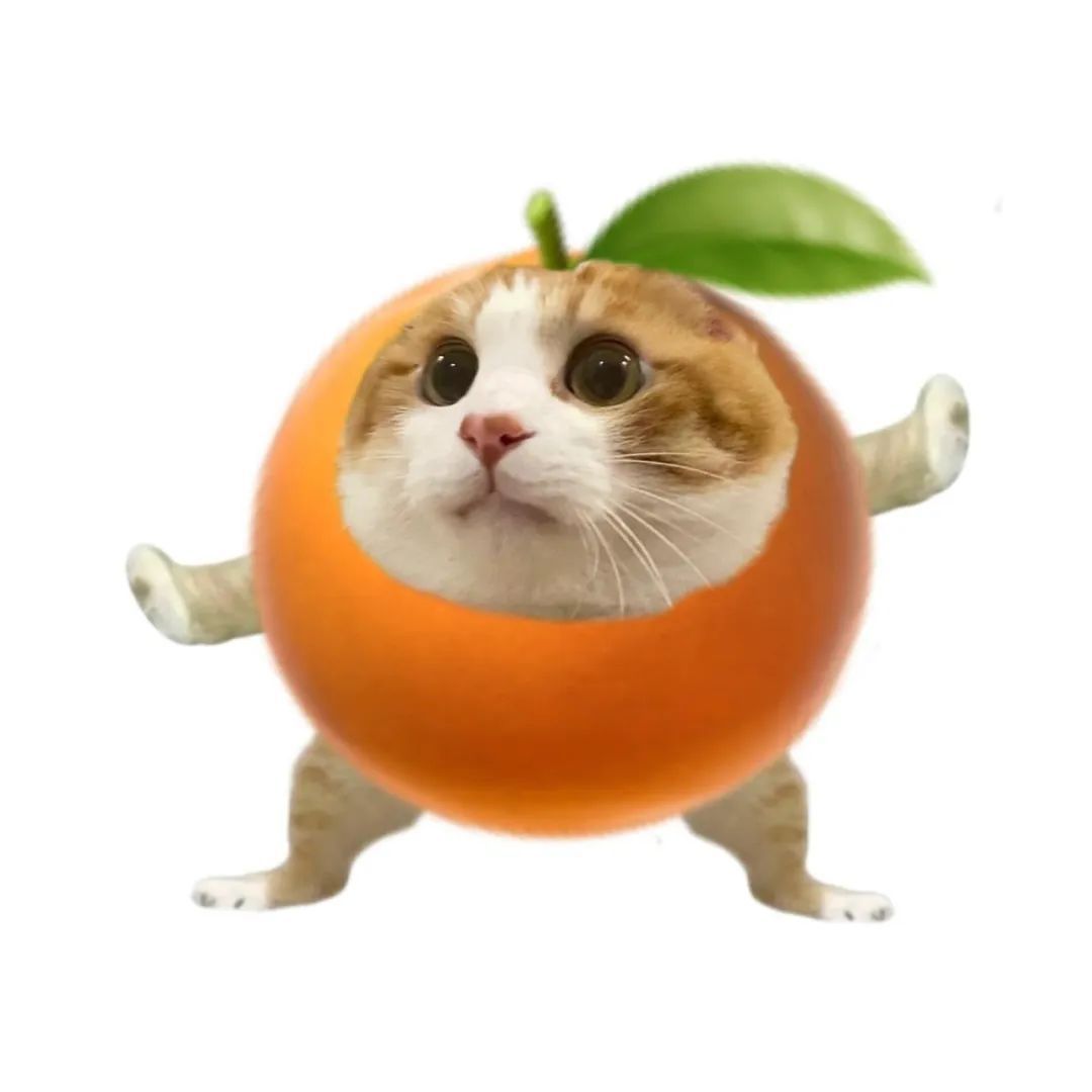 食物小猫meme头像表情包 ​​​