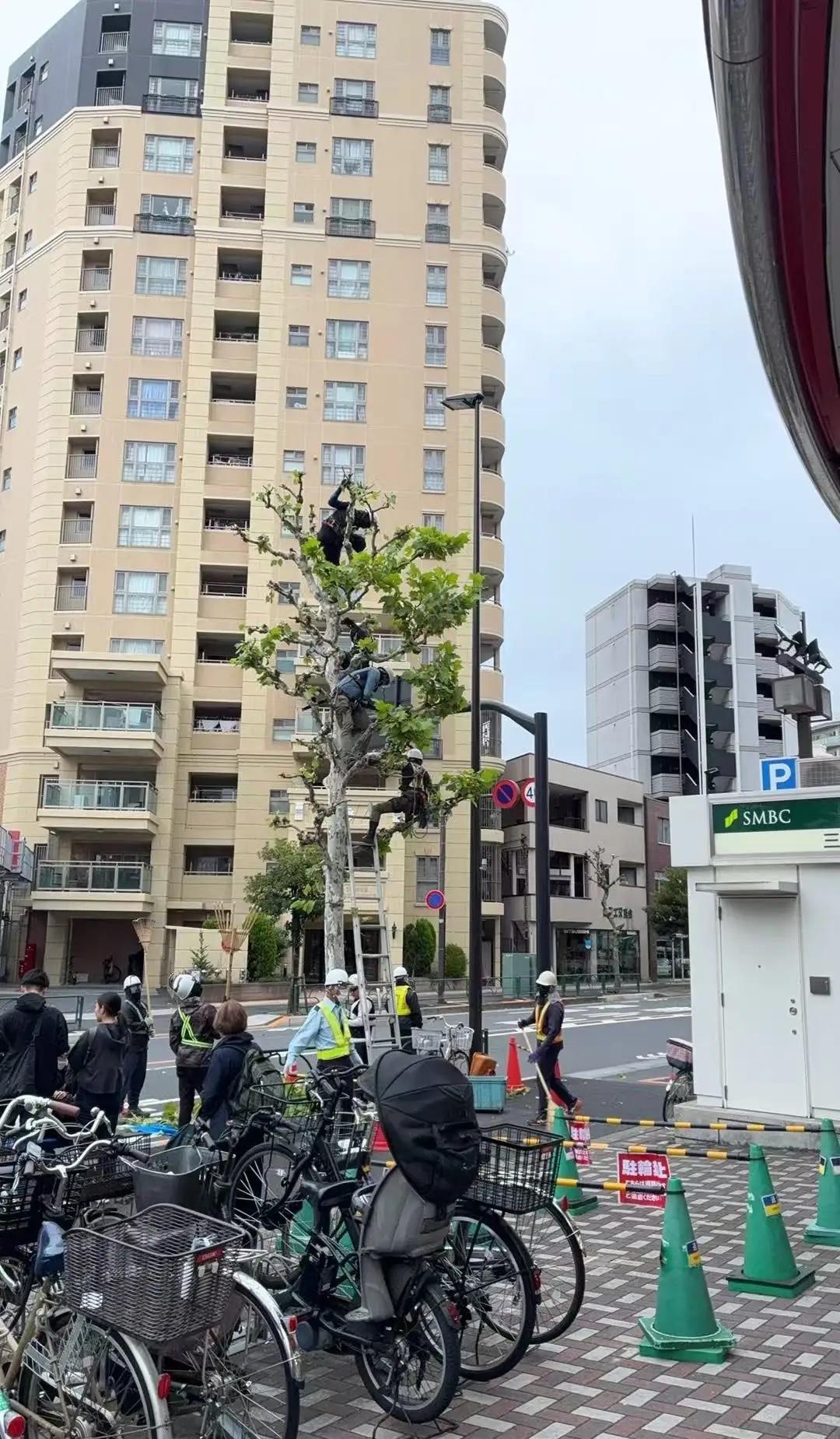 终于知道为啥日本人员短缺了。

去超市一出来，门口咋这么多人呢，一抬头好家伙，修