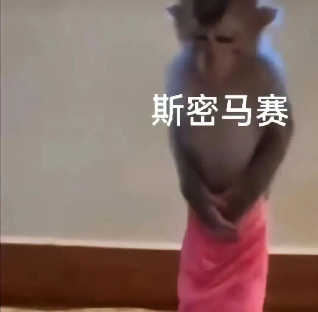 猴子表情包｜捕捉动物的表情包 ｜搞笑表情包分享 ｜猴子的命也是命 ｜可爱的小猴子