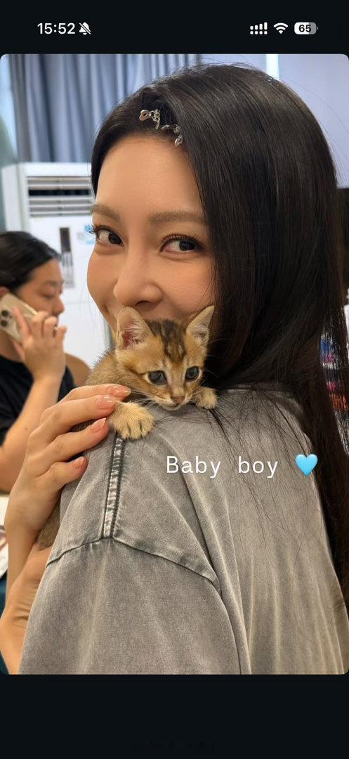 热心市民Kelly女士在剧组拍戏捡到了一只流浪猫猫 