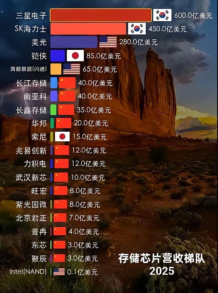 这就是存储芯片领域的寡头竞争格局，价格主要由几个巨头决定，其它厂商是价格的接受者