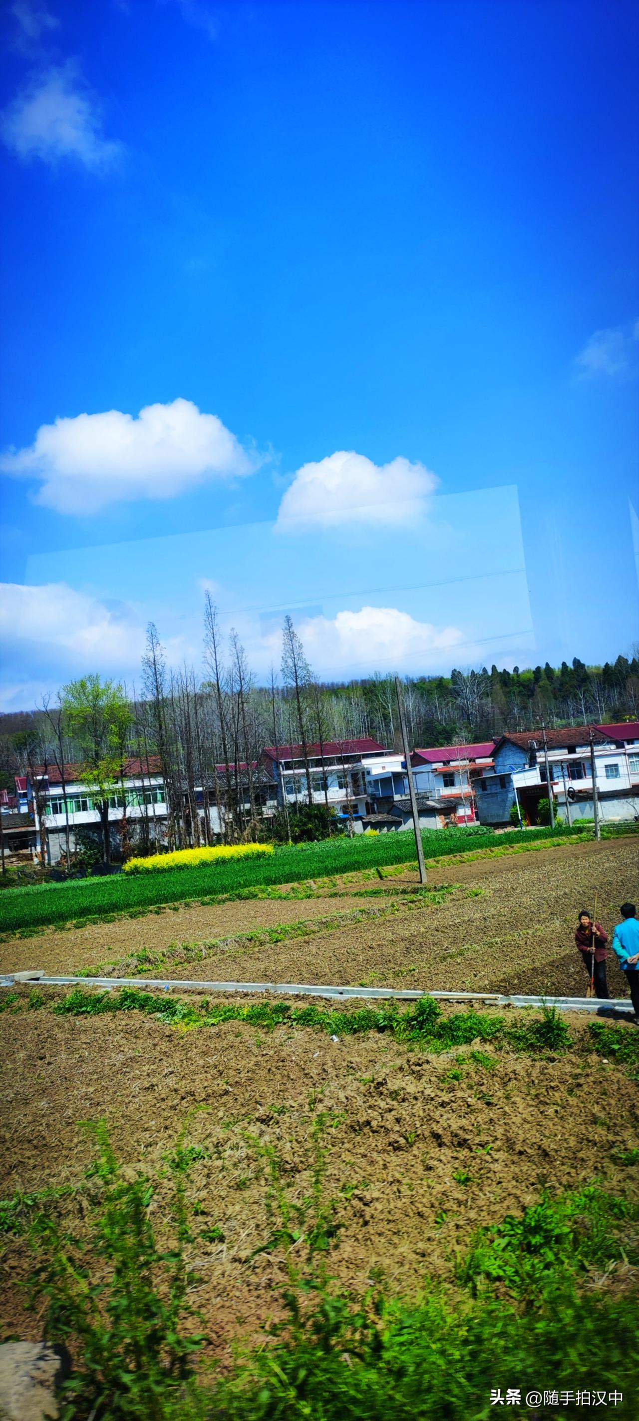 在春天的努力下，风一吹，雨一落，阳光一点点温暖，大地上的生命开始成长。田埂旁，农