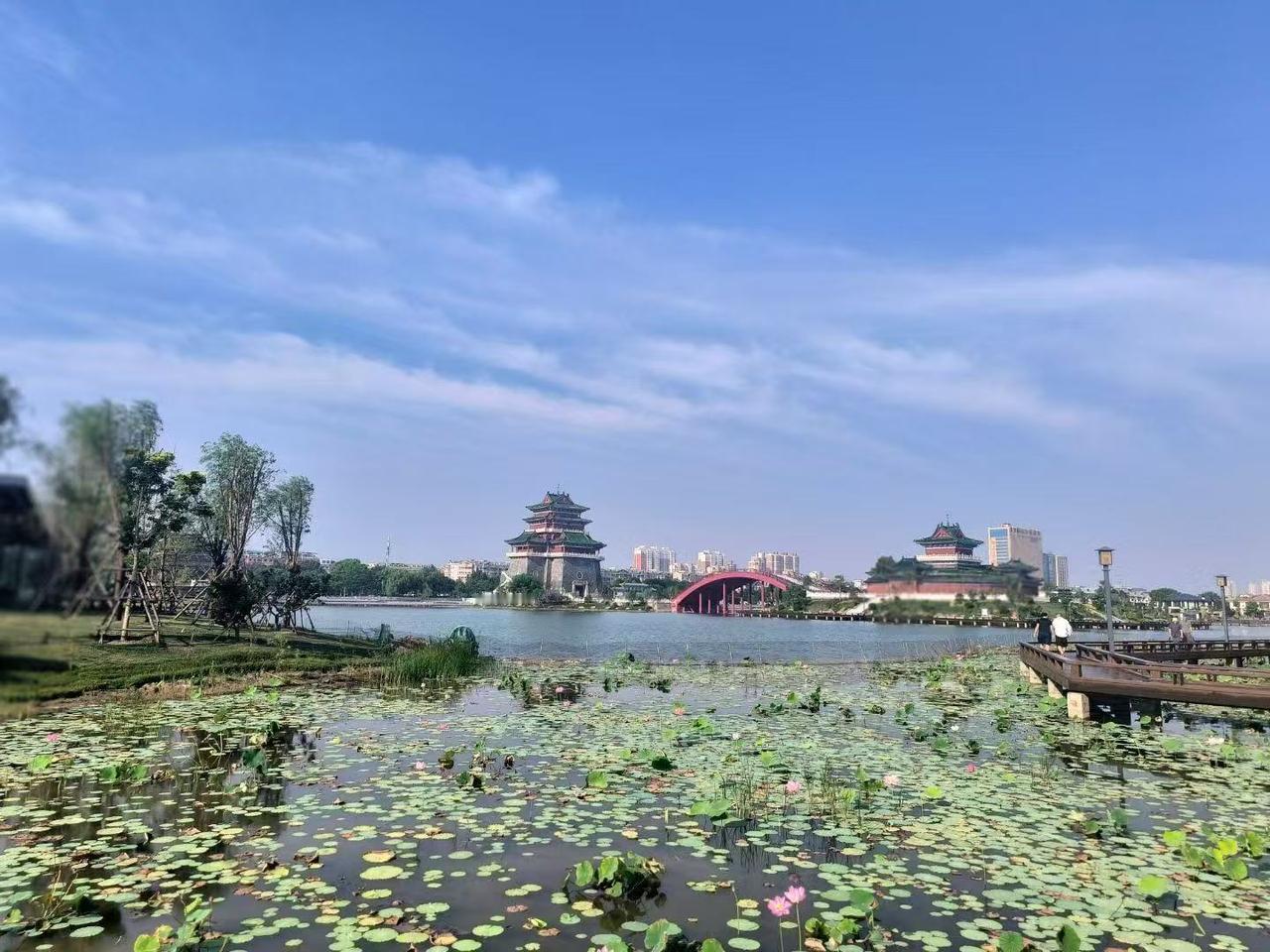 上海的未来不是成为纽约或伦敦那样的全球城市，而是更像东京一背靠本国经济腹地崛起，