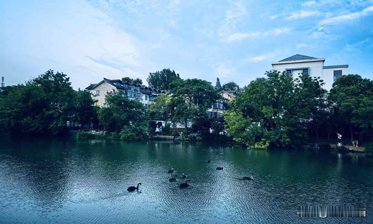江南水乡风情
图文：蜀风园    王虹