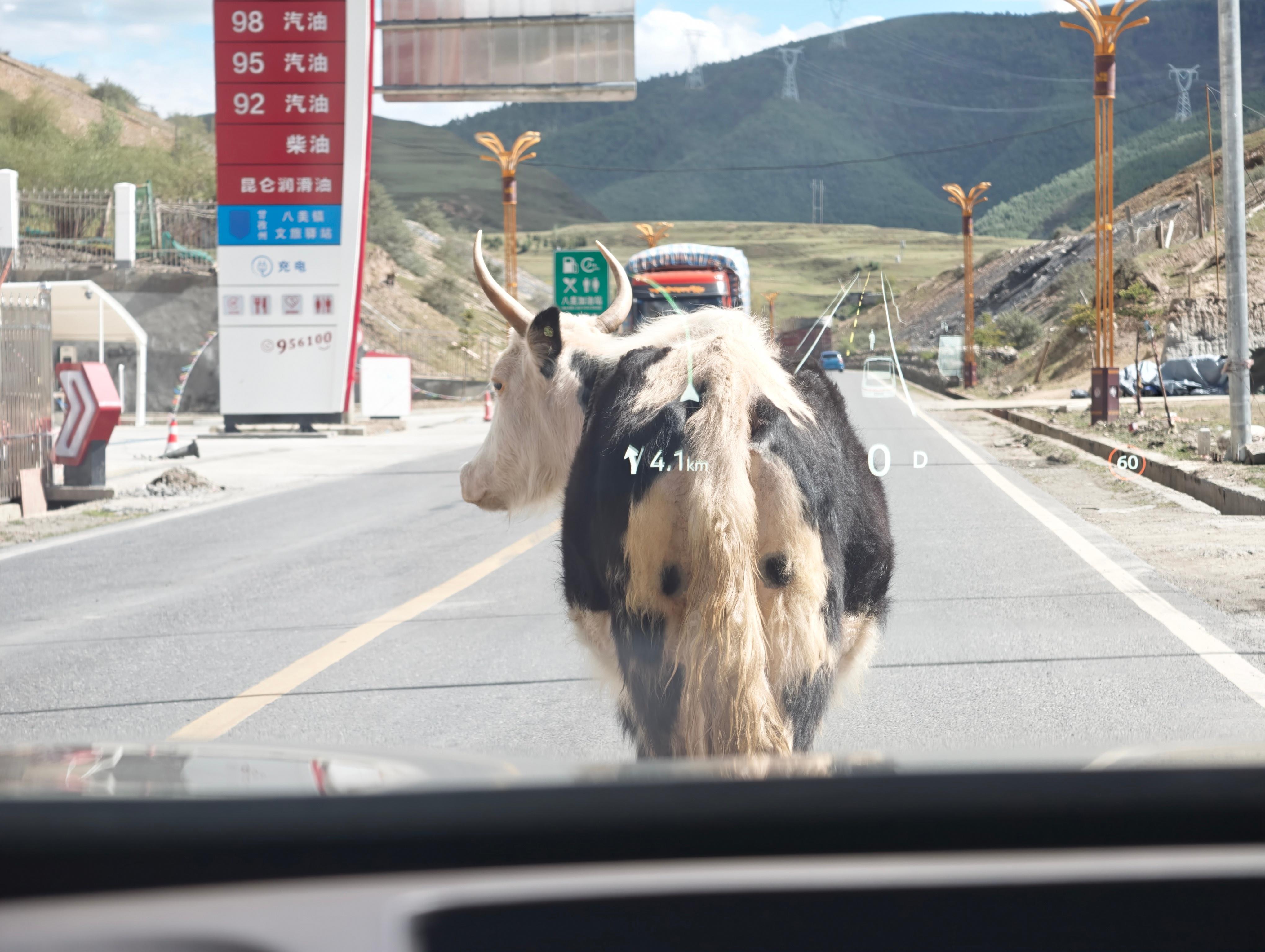318的常态 甘孜