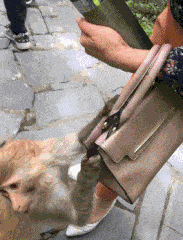 你看嘛，啥也没有