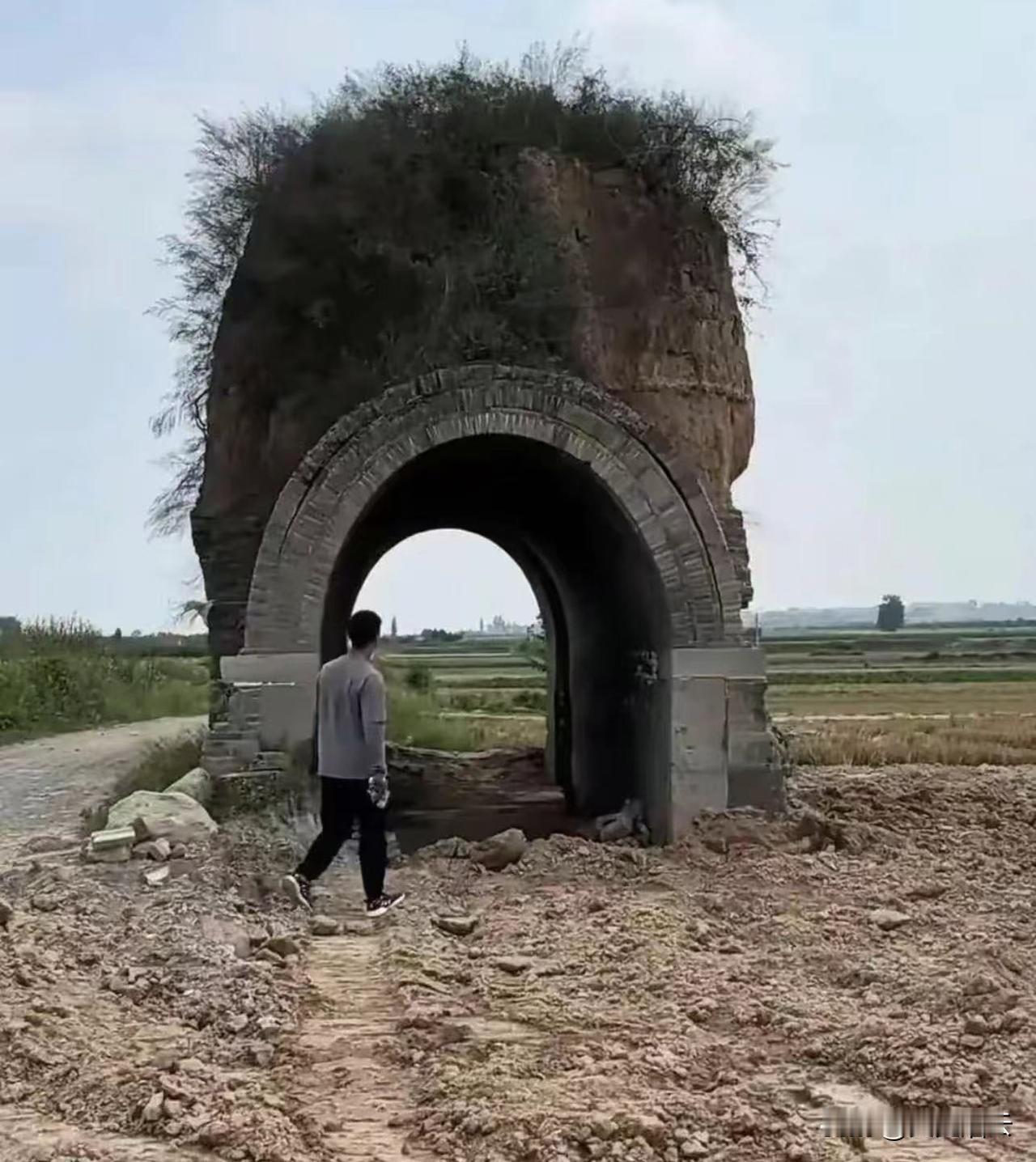 大家直到这是什么东西吗？