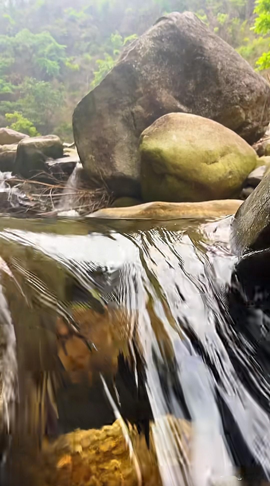七律·默默流淌
穿岩绕石悄无声，
暗抱清光岭畔行。
润得苔痕侵岸碧，
偷分月色浸