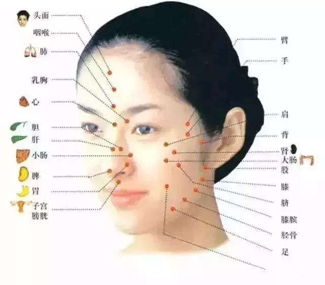 脸上长痘，脏腑有病？

1、额头长痘
压力过大、焦躁易怒，心火旺，血液循环不好
