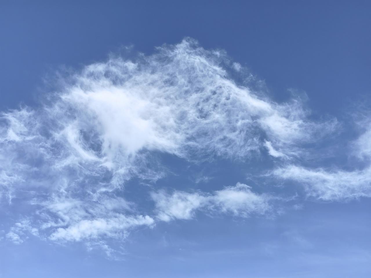 天空中的那片云
～拍摄于5月22日16时30北京平谷新城

雨后初霁的蓝天上，那