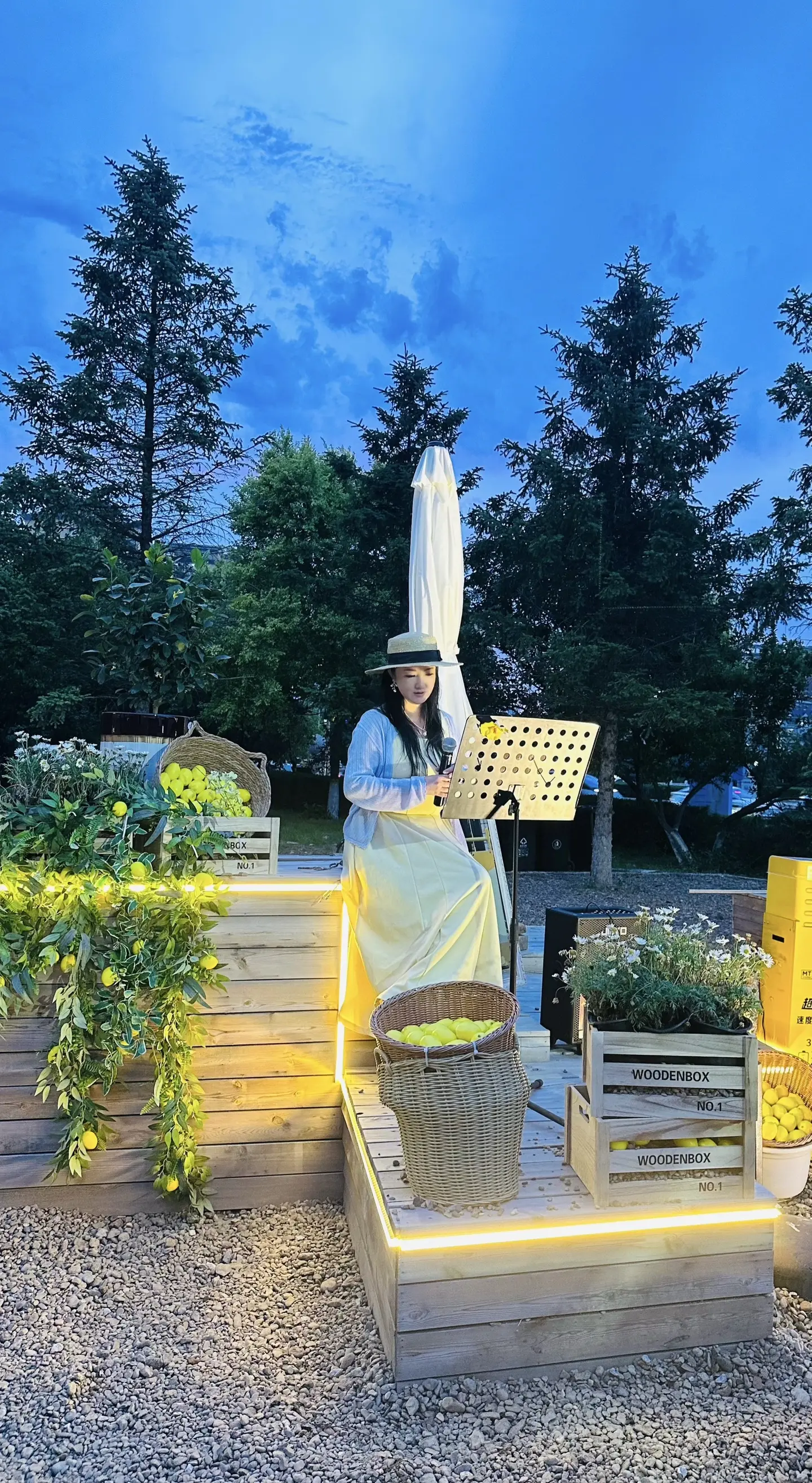 月荷的夜那么静、那么静…………