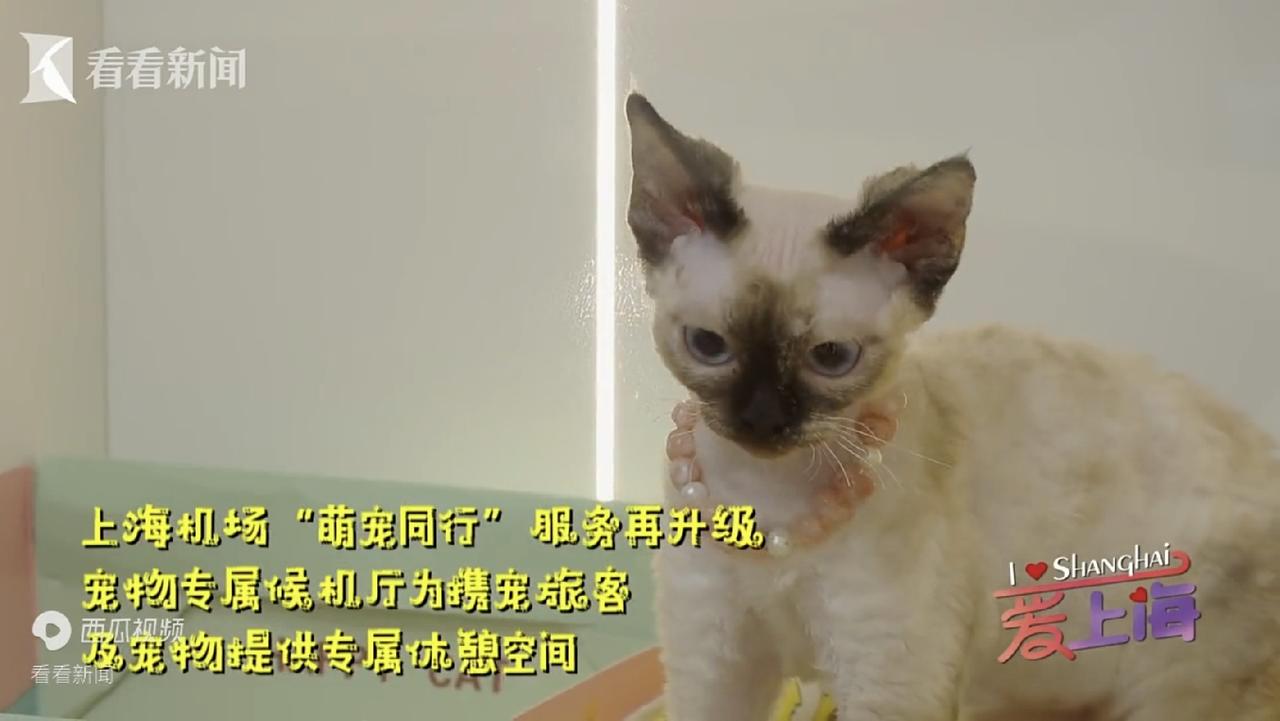 真的是做到了无微不至的关怀啊！
看到这个专属的候机厅，再看看这里面的人，年轻人，