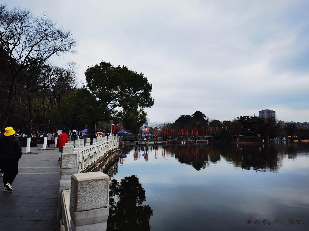 分享一张拍的花下面三图是正月十一晚上拍的，是公园，是有灯会的晚上拍摄的，我不说具