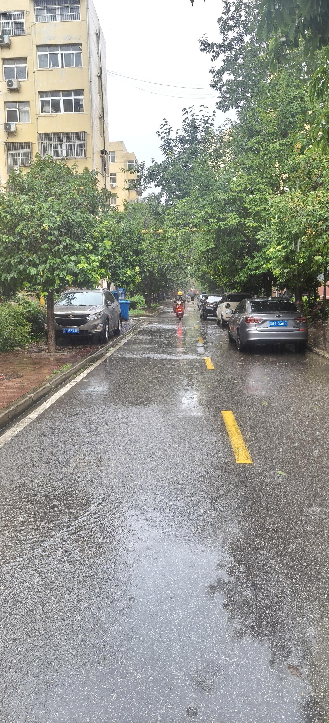 立秋了，天气转凉了。
受台风“白海豚”的影响，
我们这边正经历着大雨到暴雨，
出