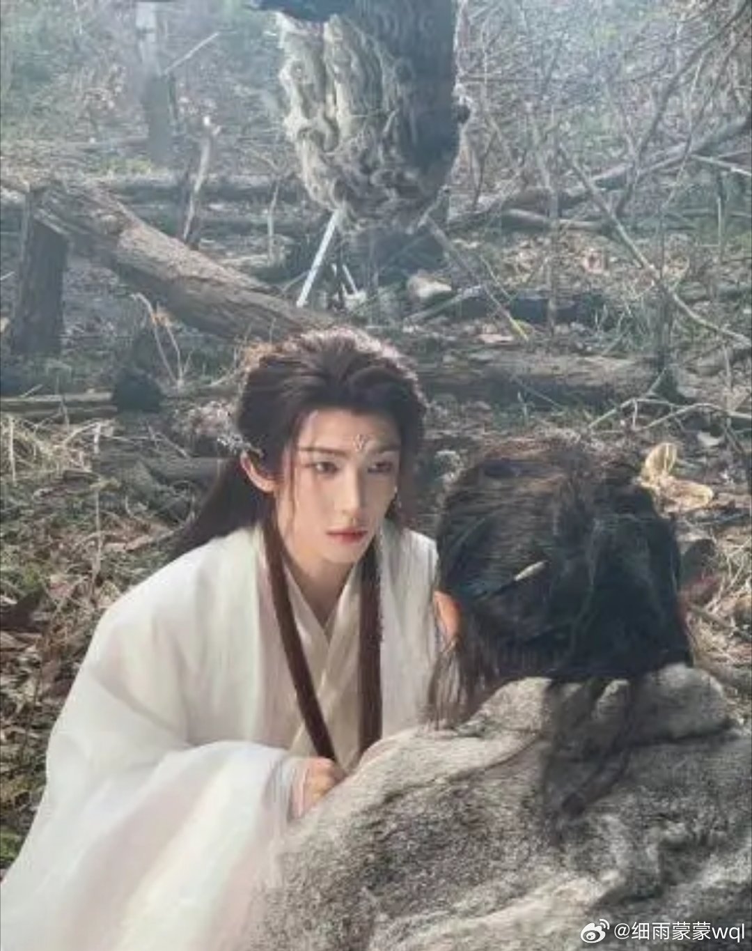 月鳞绮纪直播 古装奇幻剧《月鳞绮纪》火了，开播52小时热度就破万！2026年最快