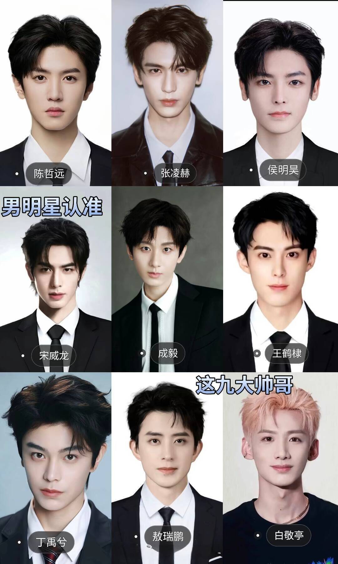 内娱九大帅哥认证｜谁是你的天选古人？ 