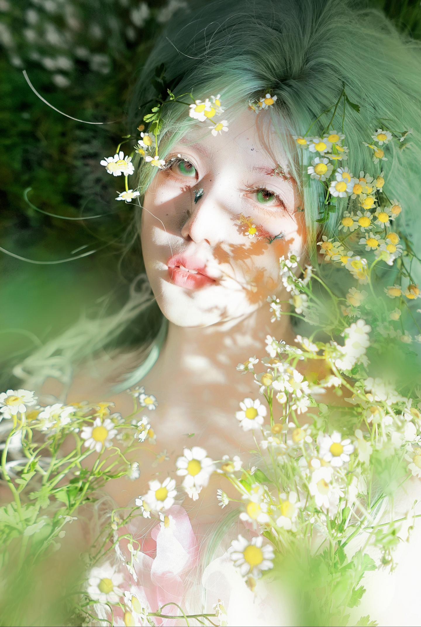 生命力的夏天。
