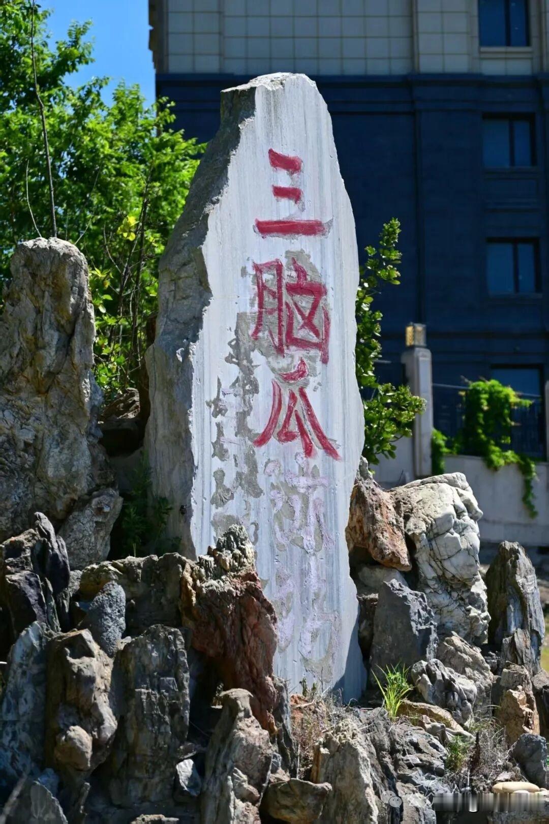 大连这步道名字太“东北”：从“三脑瓜”一路逛到“海纳百川”

在大连看海看麻了？