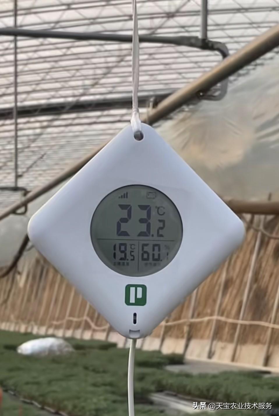 豆角应该怎样做才不会食物中毒呢? 豆角是家常常见蔬菜，但生豆角、未彻底熟透的豆角