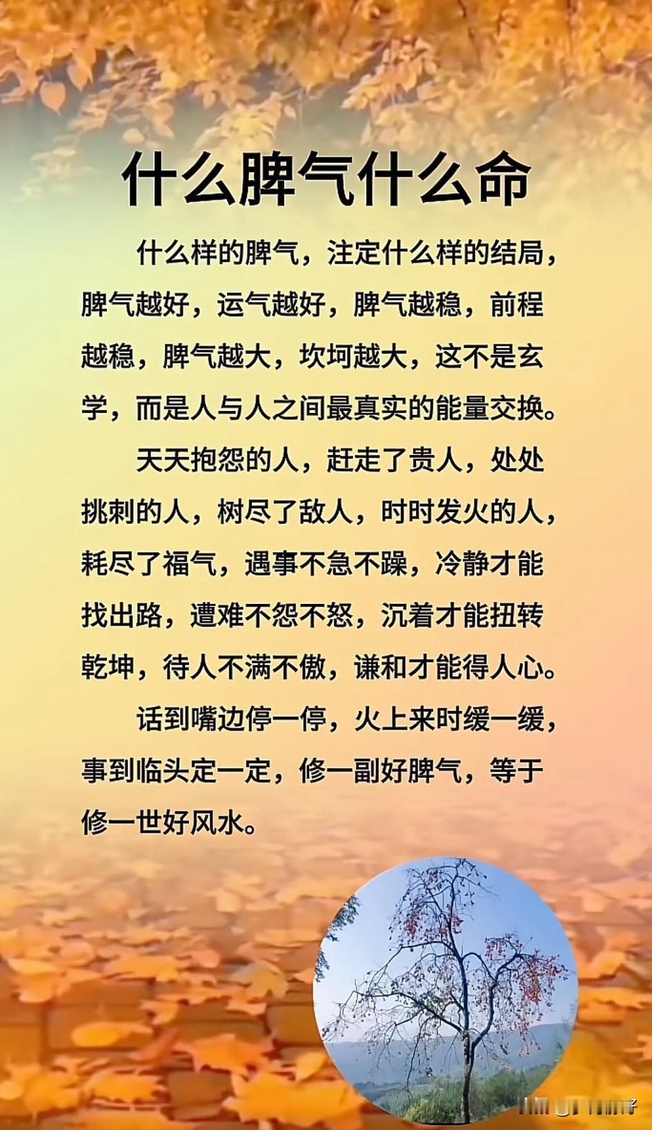 人这一生，命运从来不是凭空来的。很多时候，决定一个人日子顺不顺、关系好不好、福气