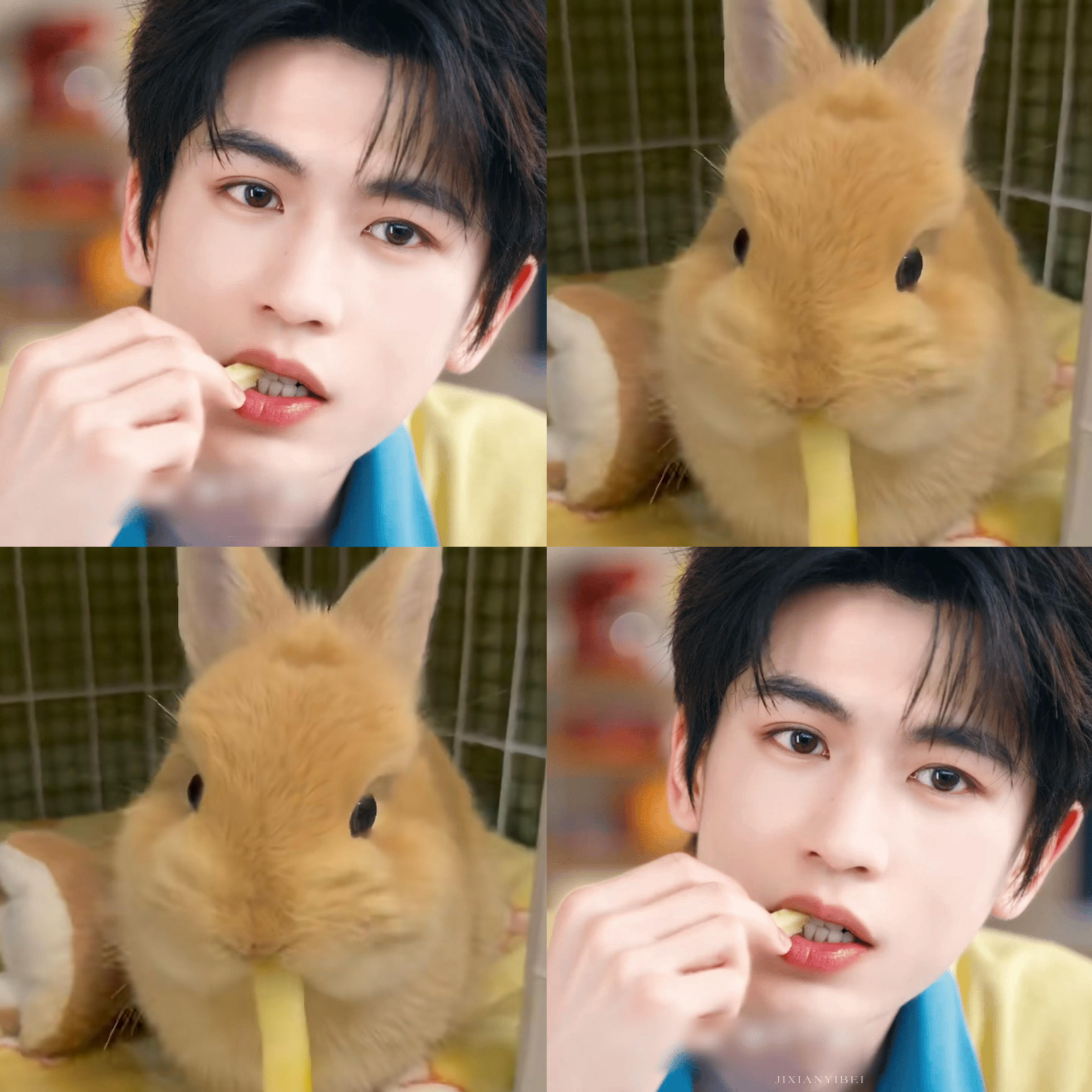 没有不兔一下的义务🐰 ​​​